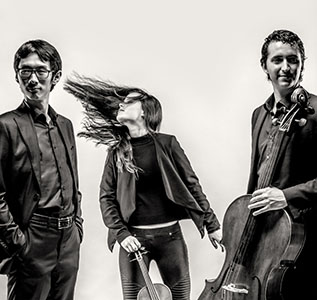 Amatis Trio 3 - Allard Willemse copia